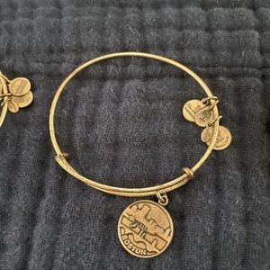 Alex and Ani Boston Charm Expandable Bracelet